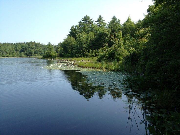 Kingston Ma Watershed preserve Kingston, Massachusetts Watershed Preserve